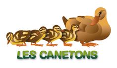 logo-les-canetons